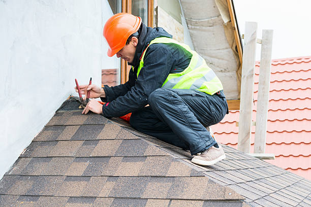 Best Roof Leak Repair  in Belvidere, IL